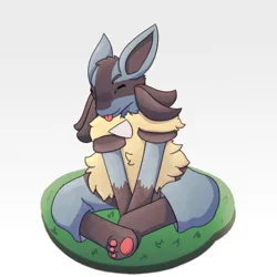 Lucario