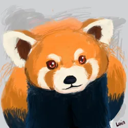 Red Panda
