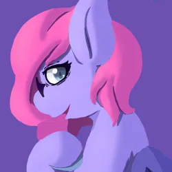 Ivu Pony