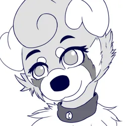 Dogvu