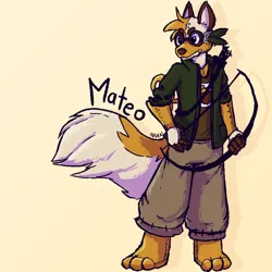 Mateo